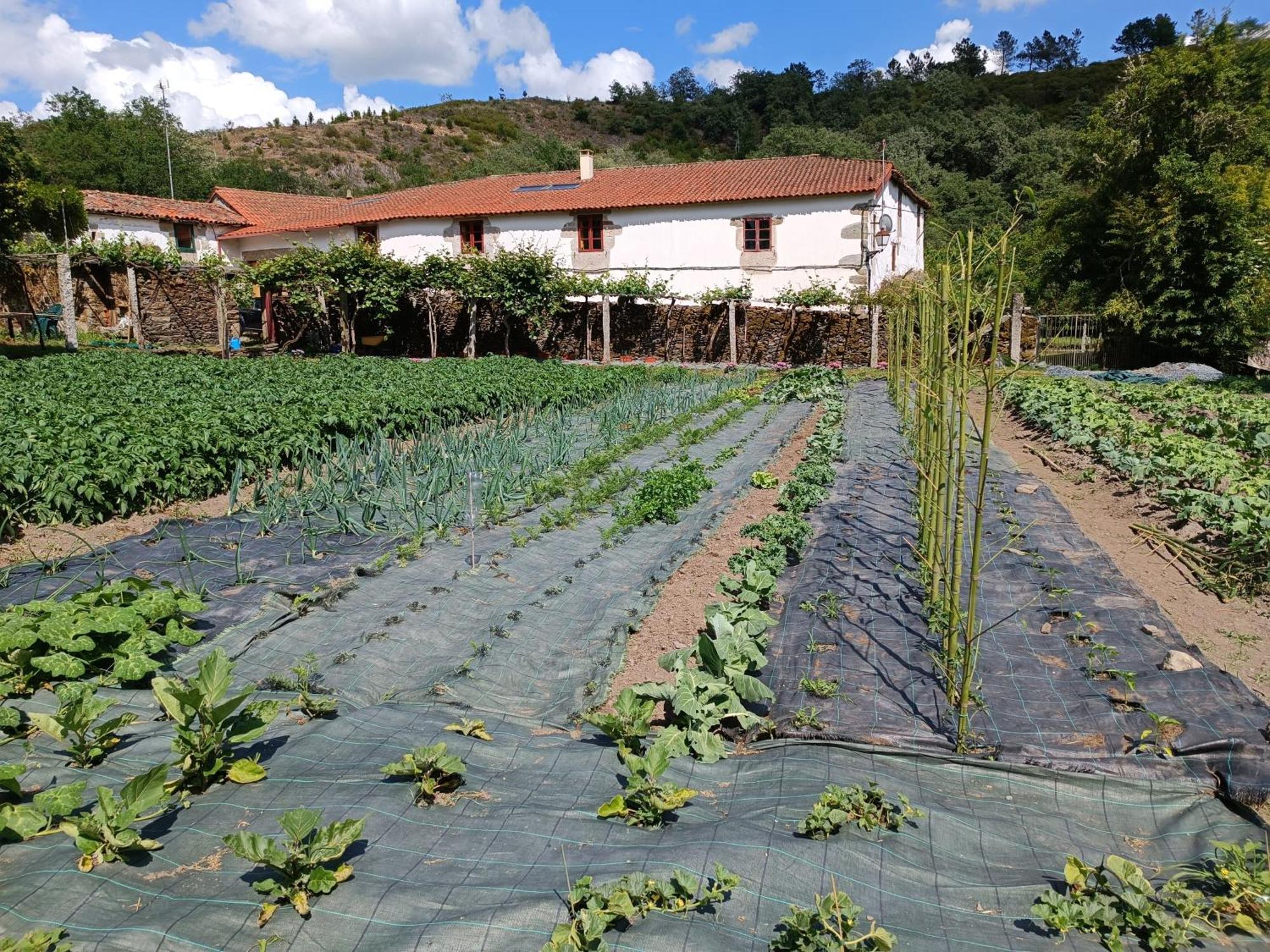 Casa Grande De Covas-Apartamentos Turisticos Taboada 외부 사진