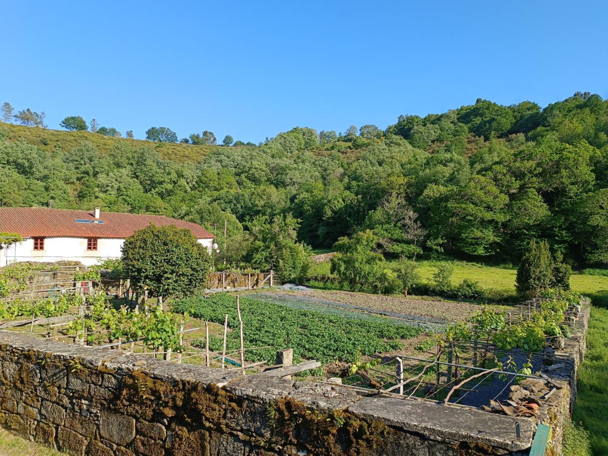 Casa Grande De Covas-Apartamentos Turisticos Taboada 외부 사진