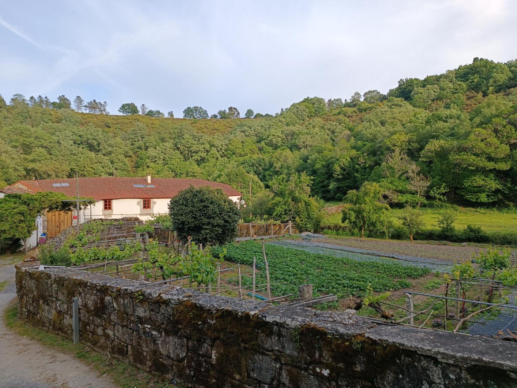 Casa Grande De Covas-Apartamentos Turisticos Taboada 외부 사진