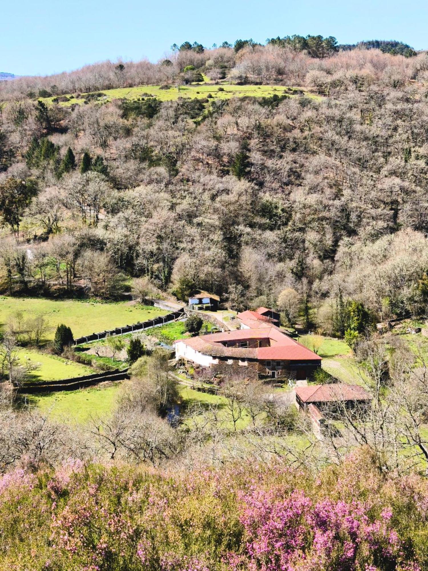 Casa Grande De Covas-Apartamentos Turisticos Taboada 외부 사진
